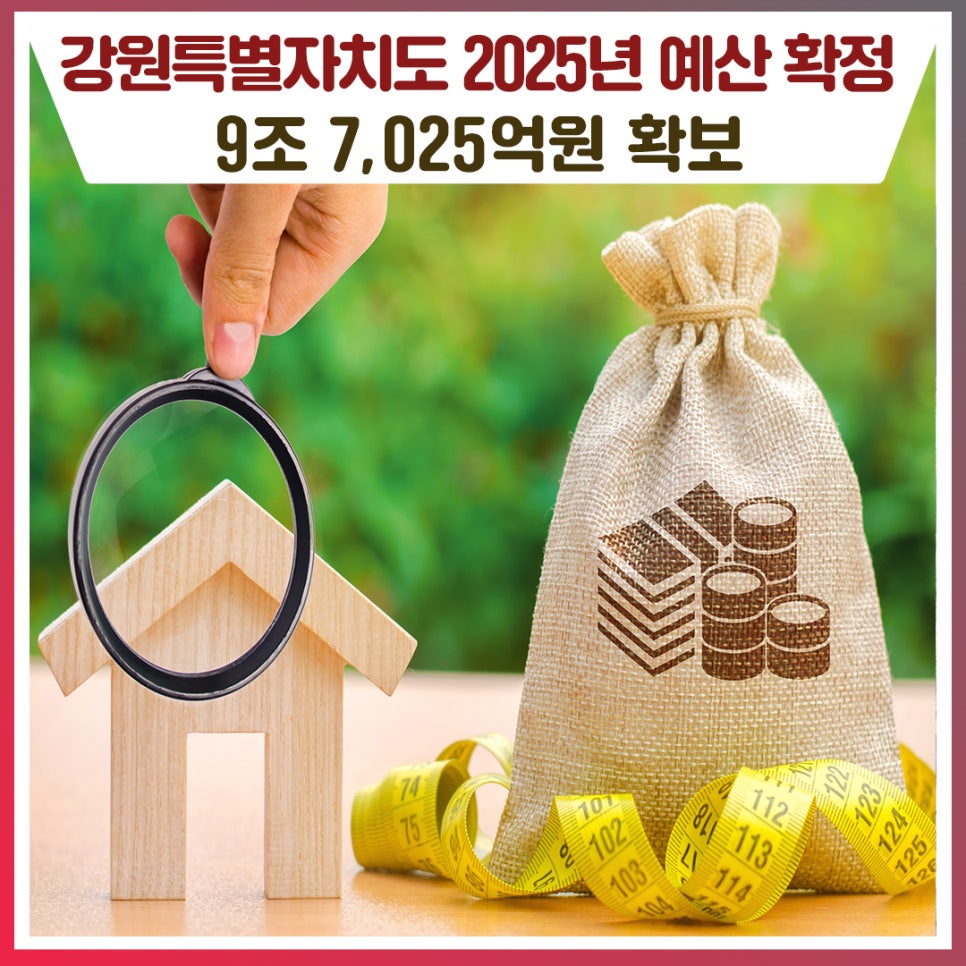 ✨강원특별자치도, 2025년 정부예산 9조 7,025억 원 최종 확보💰