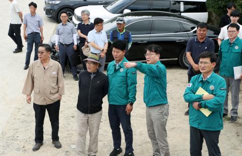 여름배추 수급동향 현장점검
