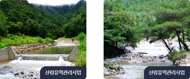 산림유역관리사업