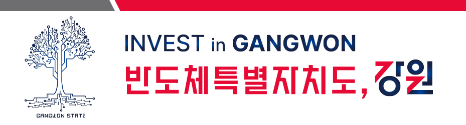 반도체특별자치도, 강원