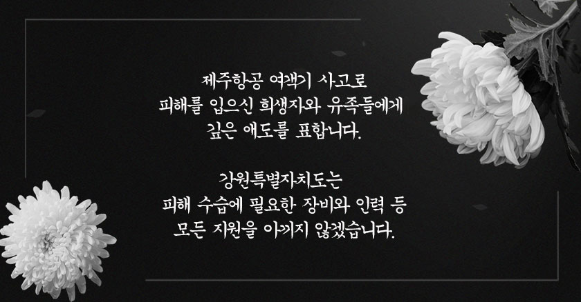 제주항공 여객기 사고로 피해를  입으신 희생자와 유족들에게 깊은 애도를 표합니다. 강원특별자치도는  피해 수습에 필요한 장비와 인력 등 모든 지원을 아끼지 않겠습니다.