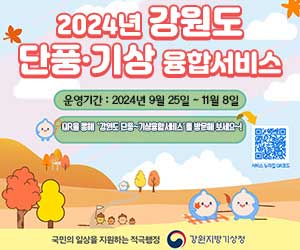 2024년 강원도 단풍·기상 융합서비스 운영 기간:20245년 9월 25일~11월 8일 qr을 통해 '강원도 단풍·기상 융합서비스'를 방문해 보세요~!